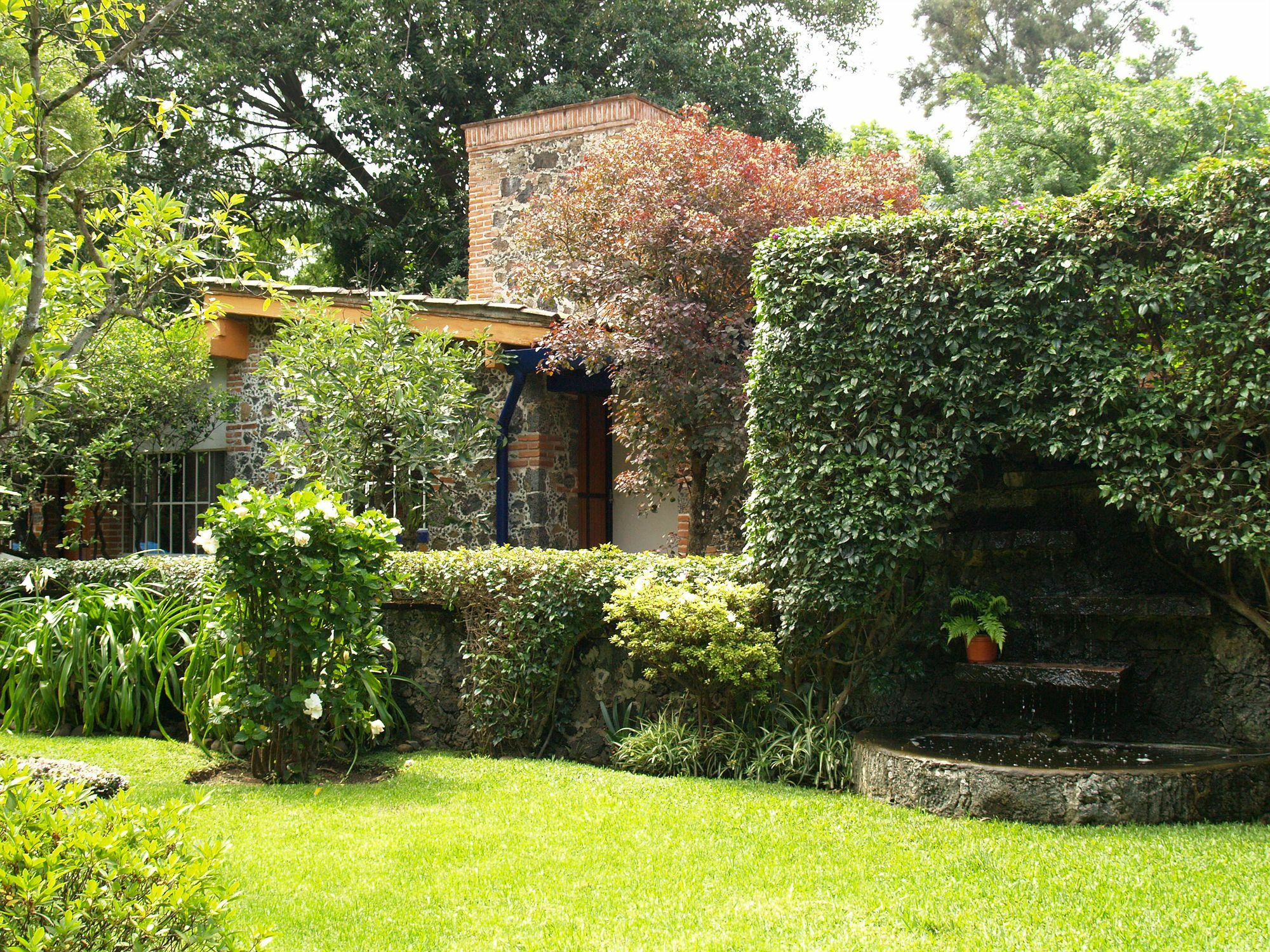 Hotel La Posada Del Valle (Adults Only) Tepoztlán Exteriör bild
